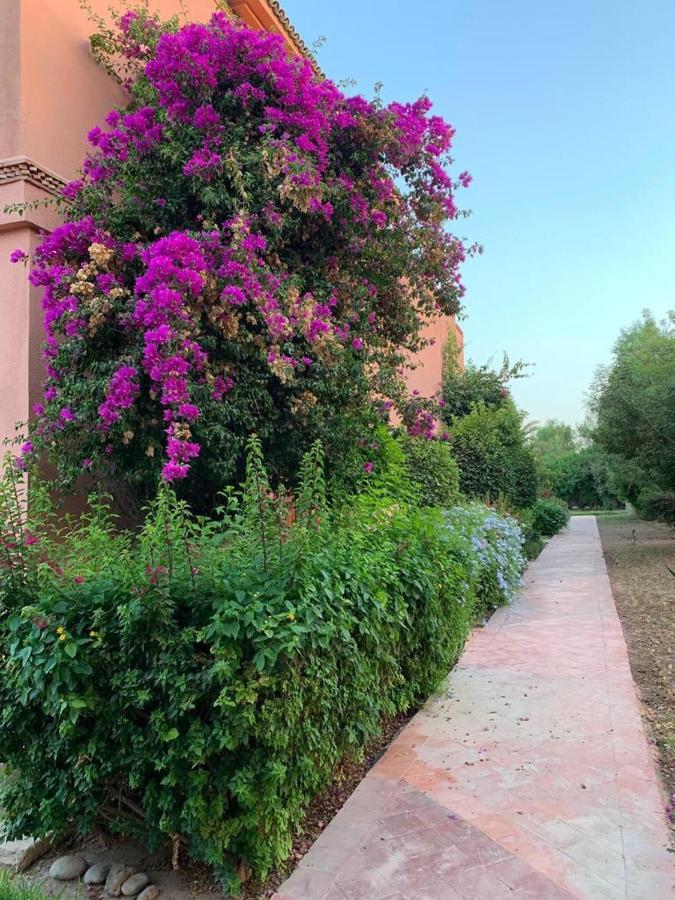 Villa Avec Piscine A Marrakech Marrakesh Eksteriør billede